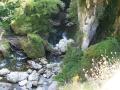 gal/Vacances/Les_Cascades_du_Loup/_thb_Grasse2007 162.jpg